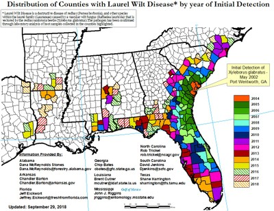 Laurel Wilt Map