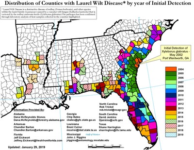 Laurel Wilt Distribution_Jan 19, 2019