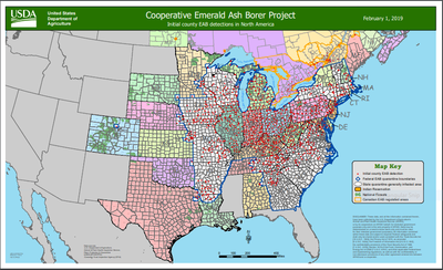 Initial county EAB detections in North America 